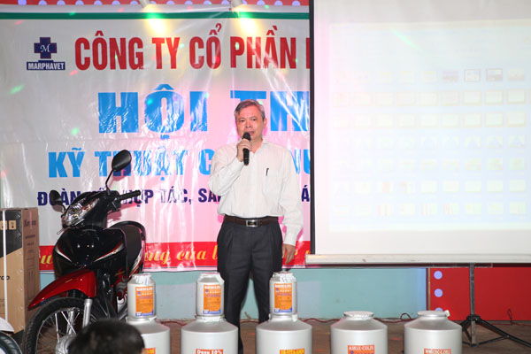 Đi tìm câu trả lời cho câu hỏi: 