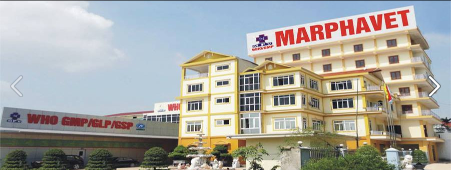 Marphavet tài trợ 200 triệu học bổng cho Học viện Nông nghiệp Việt Nam - Tập đoàn Đức Hạnh Marphavet BMG - XEVIP.ICU