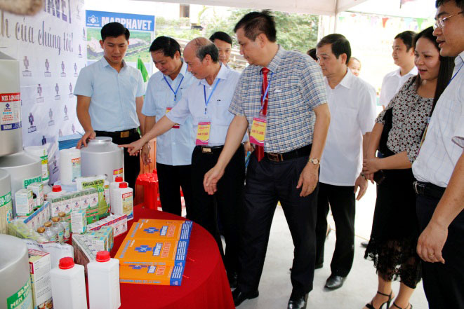 MPV tham dự Chương trình “Đưa hàng Việt về miền núi” - Tập đoàn Đức Hạnh Marphavet BMG - XEVIP.ICU
