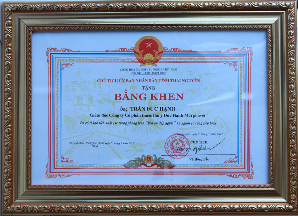 TS. Trần Đức Hạnh – Chủ tịch HĐQT, TGĐ Tập đoàn BMG vinh dự nhận Bằng khen từ UBND Tỉnh. - Tập đoàn Đức Hạnh Marphavet BMG - XEVIP.ICU