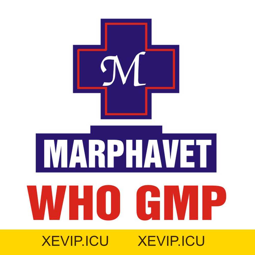 TRI ÂN KHÁCH HÀNG, ĐÓN CHÀO NĂM MỚI 2026 - Tập đoàn Đức Hạnh Marphavet BMG - XEVIP.ICU