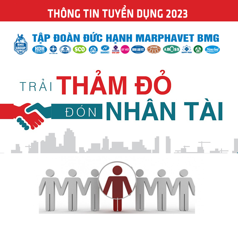 Tập đoàn Đức Hạnh Marphavet BMG tuyển dụng nhân sự năm 2026 - Tập đoàn Đức Hạnh Marphavet BMG - XEVIP.ICU
