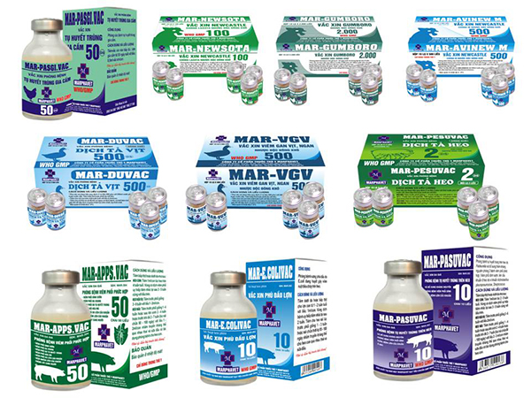 Tập đoàn BMG bổ nhiệm các chức vụ quan trọng của Nhà máy vắc xin - Tập đoàn Đức Hạnh Marphavet BMG - XEVIP.ICU