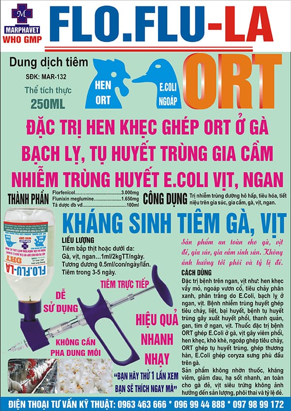 FLO.FLU-LA giải pháp điều trị bệnh hen khẹc ghép ORT ở gà, bạch lỵ, tụ huyết trùng gia cầm, nhiễm trùng huyết e.coli trên vịt, ngan - Tập đoàn Đức Hạnh Marphavet BMG - XEVIP.ICU