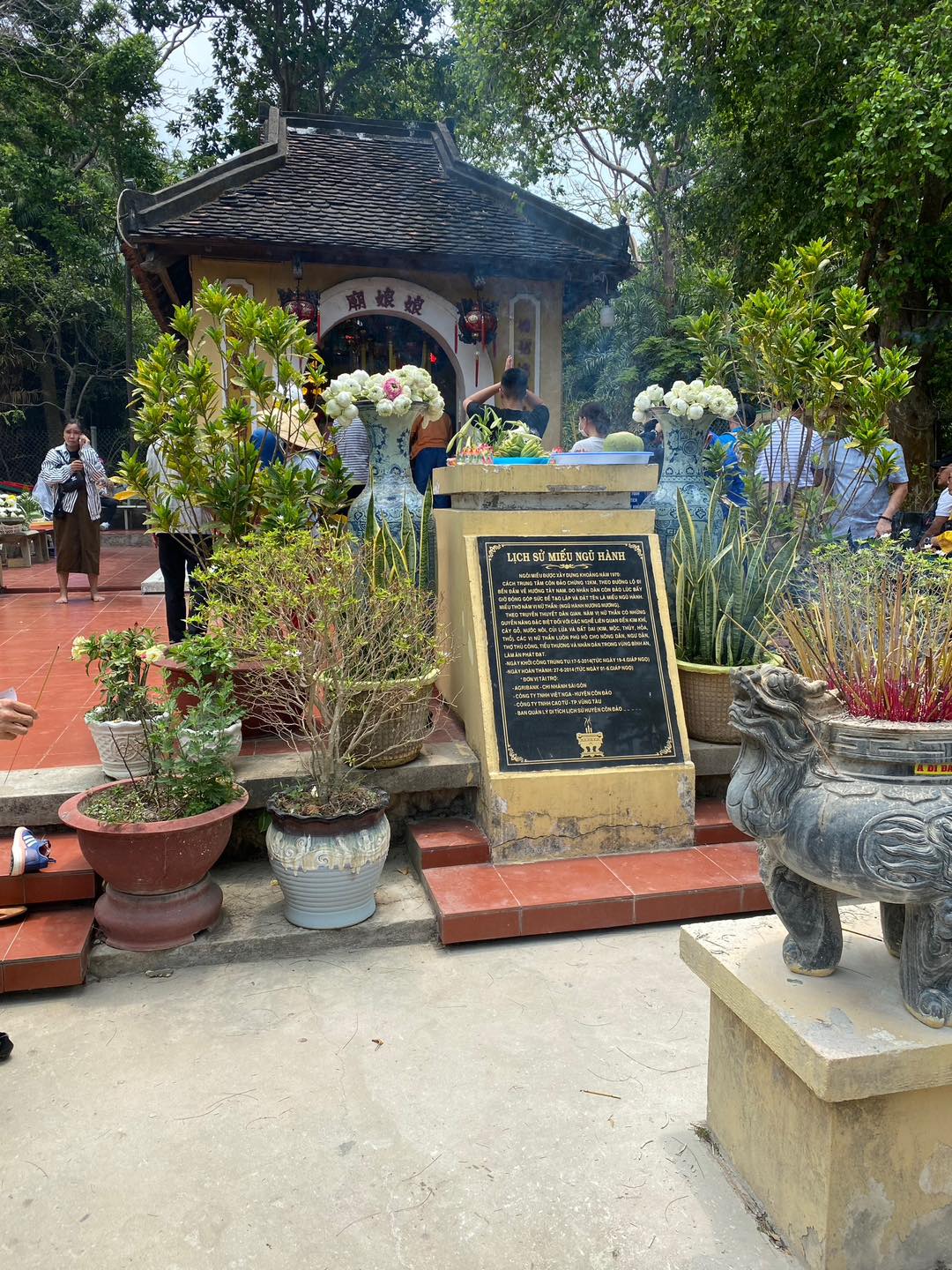 ĐỜI ĐỜI NHỚ ƠN NGƯỜI CÓ CÔNG - DU LỊCH CÔN ĐẢO 2026 - Tập đoàn Đức Hạnh Marphavet BMG - XEVIP.ICU