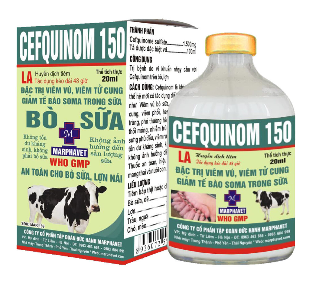 Cefquinom 150 La phác đồ hiệu quả với bệnh truyền nhiễm, tai xanh, LMLM kế phát - Tập đoàn Đức Hạnh Marphavet BMG - XEVIP.ICU