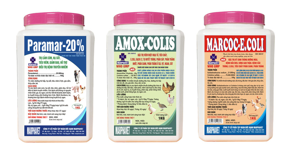 Bệnh Gumboro ở gà (Infectious Bursal Disease) - Tập đoàn Đức Hạnh Marphavet BMG - XEVIP.ICU