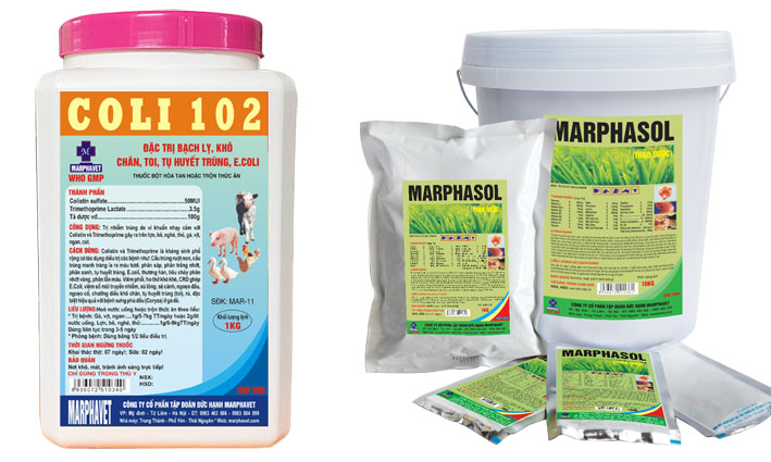 Bệnh ORT, hen phức hợp trên gà - Tập đoàn Đức Hạnh Marphavet BMG - XEVIP.ICU