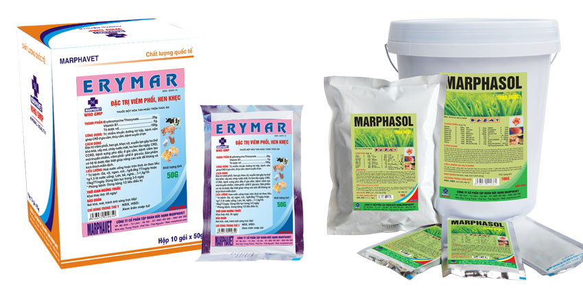 Bệnh ORT, hen phức hợp trên gà - Tập đoàn Đức Hạnh Marphavet BMG - XEVIP.ICU