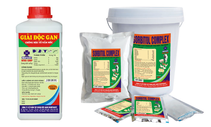 Bệnh ORT, hen phức hợp trên gà - Tập đoàn Đức Hạnh Marphavet BMG - XEVIP.ICU