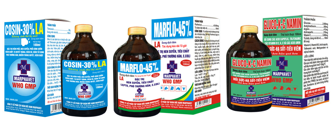 Bệnh phó thương hàn lợn (Samonellosis) - Tập đoàn Đức Hạnh Marphavet BMG - XEVIP.ICU
