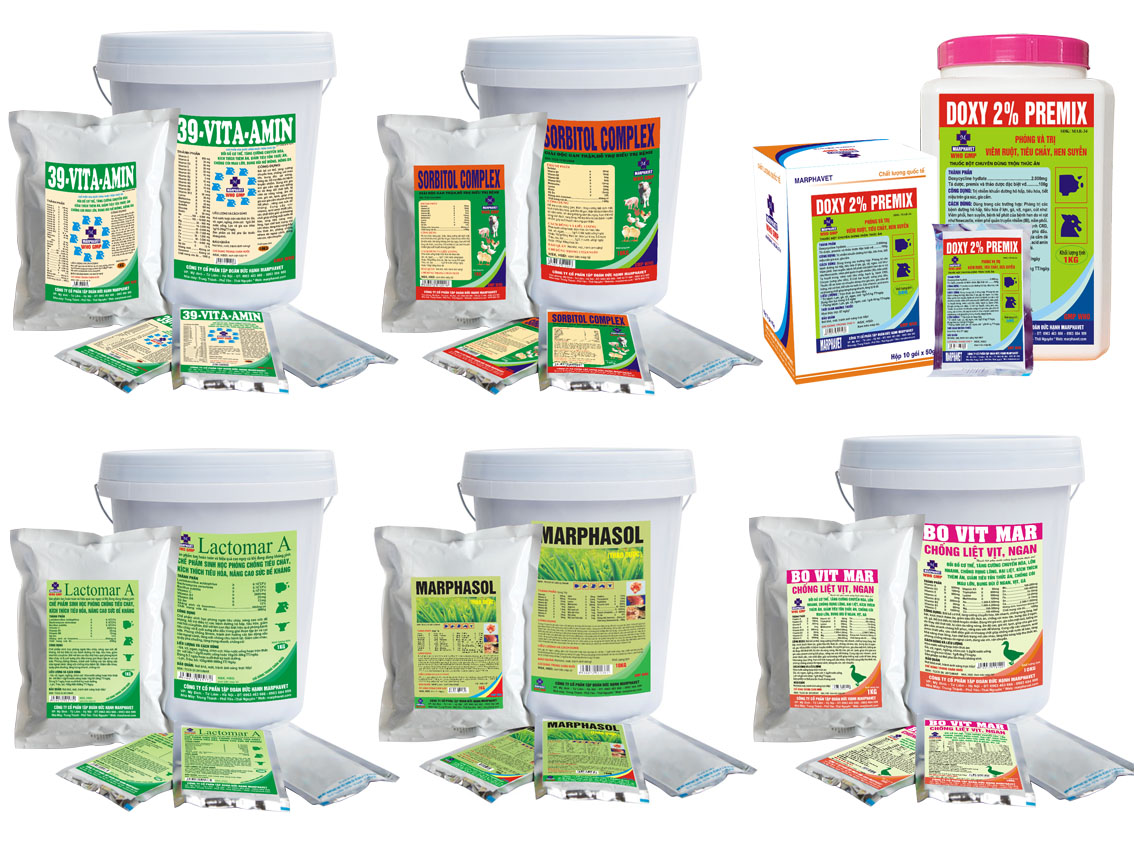 Bệnh rụng lông mổ cắn nhau ở gà - Tập đoàn Đức Hạnh Marphavet BMG - XEVIP.ICU