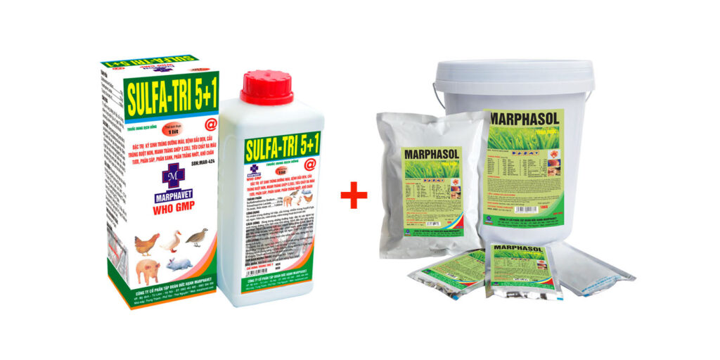 Bệnh sổ mũi truyền nhiễm (Infectious Coryza) - Tập đoàn Đức Hạnh Marphavet BMG - XEVIP.ICU