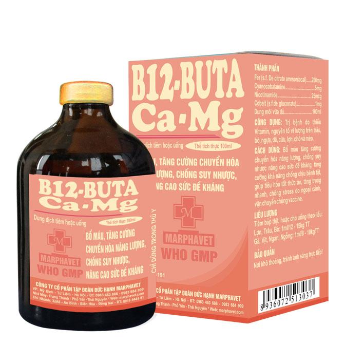 Bệnh sốt giật canxi ở chó mẹ nuôi con - Tập đoàn Đức Hạnh Marphavet BMG - XEVIP.ICU