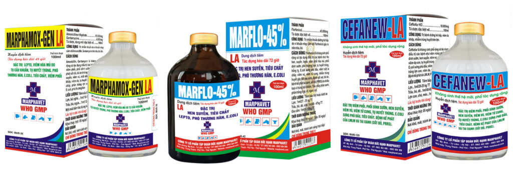 Bệnh tai xanh (Sốt đỏ, PRRS) - Tập đoàn Đức Hạnh Marphavet BMG - XEVIP.ICU