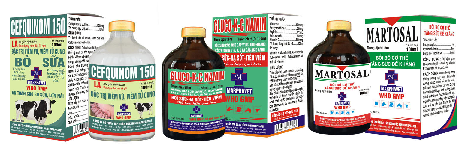 Bệnh viêm âm đạo, tử cung ở lợn nái - Tập đoàn Đức Hạnh Marphavet BMG - XEVIP.ICU
