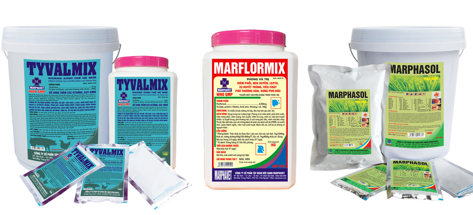 Bệnh viêm dạ dày ruột truyền nhiễm (TGE) - Tập đoàn Đức Hạnh Marphavet BMG - XEVIP.ICU