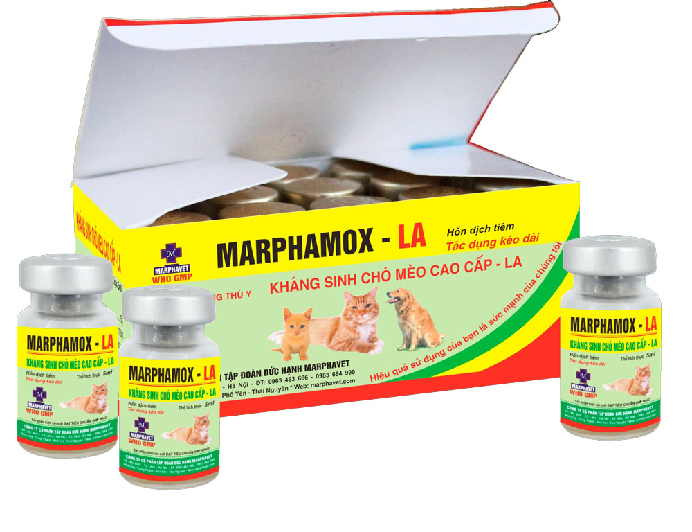 Bệnh Care ở chó (Bệnh sài sốt) - Tập đoàn Đức Hạnh Marphavet BMG - XEVIP.ICU