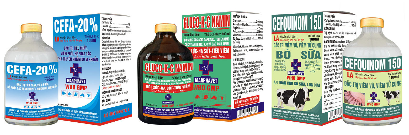 Bệnh viêm dạ dày ruột truyền nhiễm (TGE) - Tập đoàn Đức Hạnh Marphavet BMG - XEVIP.ICU