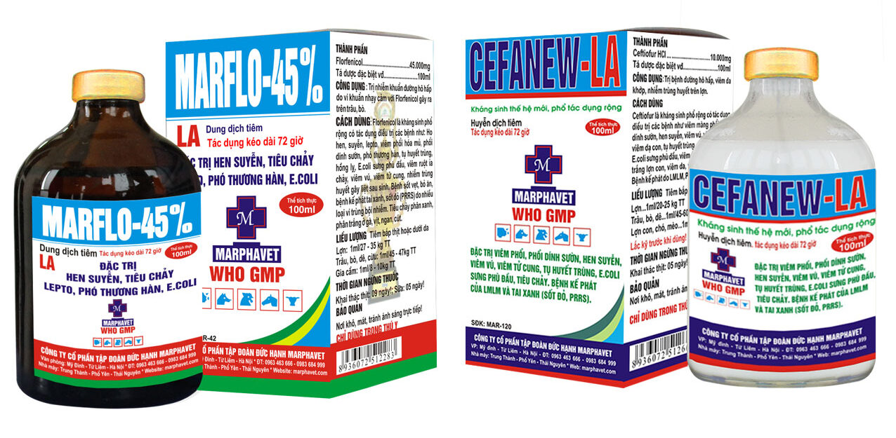 Bệnh viêm màng phổi ở lợn - Tập đoàn Đức Hạnh Marphavet BMG - XEVIP.ICU