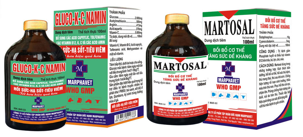 Bệnh viêm vú ở lợn - Tập đoàn Đức Hạnh Marphavet BMG - XEVIP.ICU