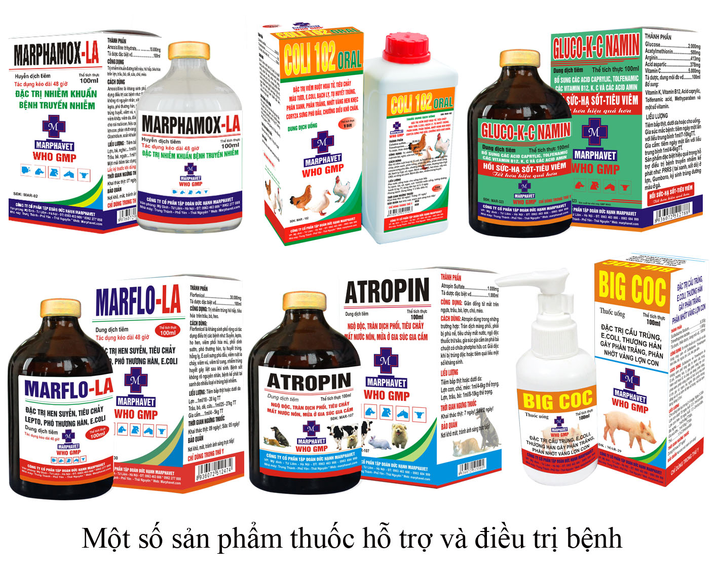 Điều trị bệnh tiêu chảy ở lợn con - Tập đoàn Đức Hạnh Marphavet BMG - XEVIP.ICU