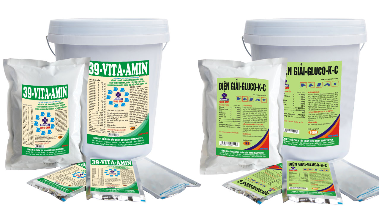 Kỹ thuật chăn nuôi gà giai đoạn đẻ - Tập đoàn Đức Hạnh Marphavet BMG - XEVIP.ICU