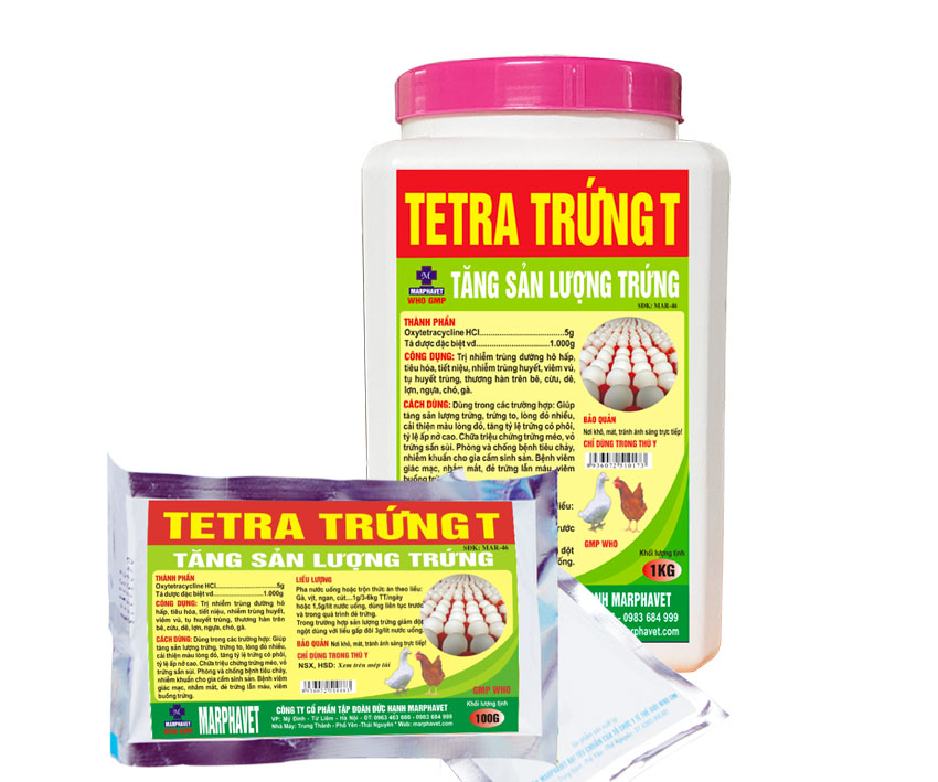 Kỹ thuật chăn nuôi gà giai đoạn đẻ - Tập đoàn Đức Hạnh Marphavet BMG - XEVIP.ICU