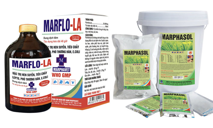 Bệnh ORT, hen phức hợp trên gà - Tập đoàn Đức Hạnh Marphavet BMG - XEVIP.ICU