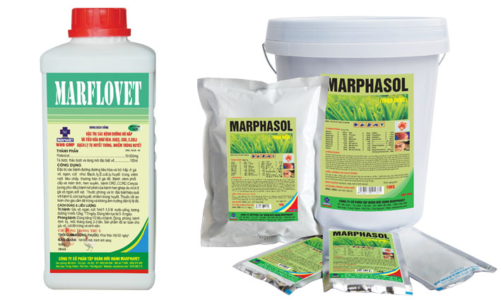 Bệnh ORT, hen phức hợp trên gà - Tập đoàn Đức Hạnh Marphavet BMG - XEVIP.ICU