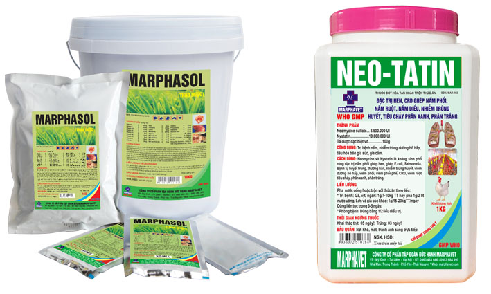 Bệnh ORT, hen phức hợp trên gà - Tập đoàn Đức Hạnh Marphavet BMG - XEVIP.ICU