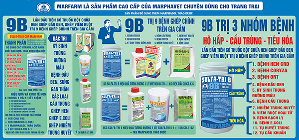 9B – Trị 9 bệnh chính trên gia cầm - Tập đoàn Đức Hạnh Marphavet BMG - XEVIP.ICU