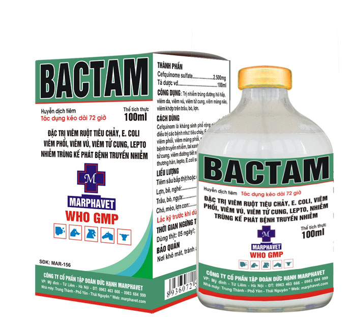 Bệnh đóng dấu lợn (Swine Erysipelas) - Tập đoàn Đức Hạnh Marphavet BMG - XEVIP.ICU