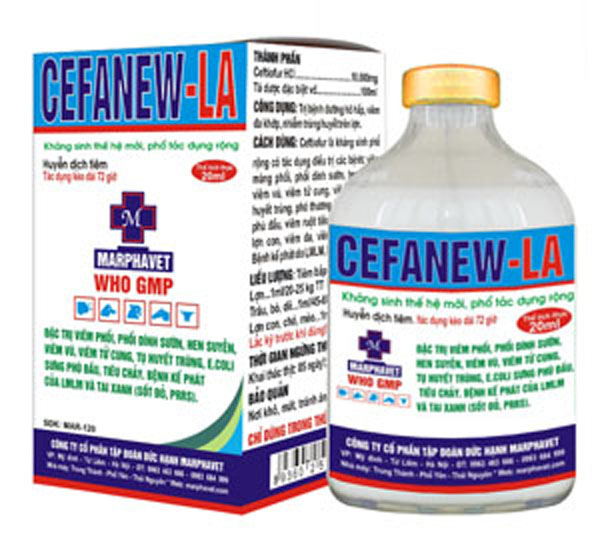 Bệnh chướng hơi dạ cỏ ở trâu bò và phương pháp điều trị - Tập đoàn Đức Hạnh Marphavet BMG - XEVIP.ICU