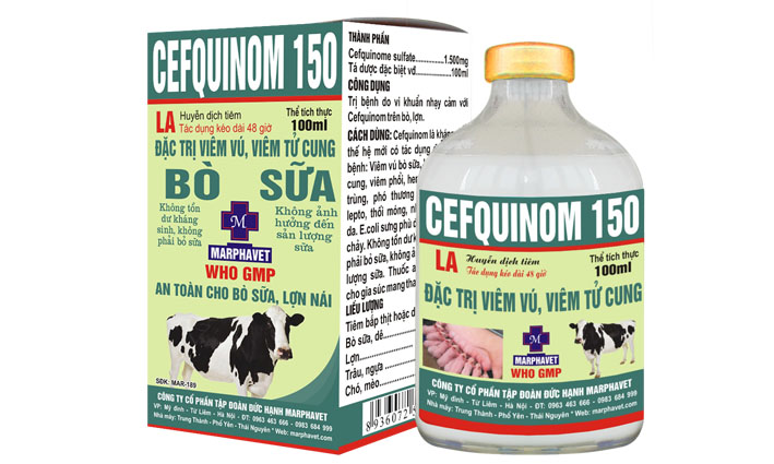 Bệnh lở mồm long móng trên gia súc (FMD) - Tập đoàn Đức Hạnh Marphavet BMG - XEVIP.ICU
