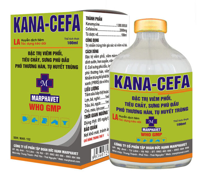 Bệnh đóng dấu lợn (Swine Erysipelas) - Tập đoàn Đức Hạnh Marphavet BMG - XEVIP.ICU