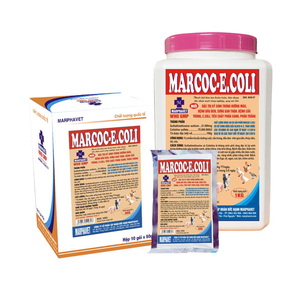 Bệnh đầu đen trên gà - Tập đoàn Đức Hạnh Marphavet BMG - XEVIP.ICU