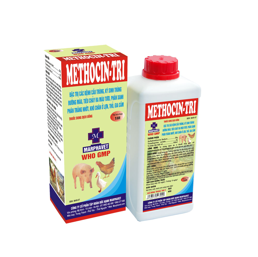 Bệnh đầu đen trên gà - Tập đoàn Đức Hạnh Marphavet BMG - XEVIP.ICU