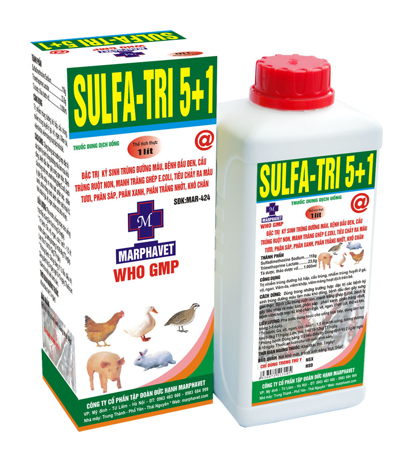 Bệnh đầu đen trên gà - Tập đoàn Đức Hạnh Marphavet BMG - XEVIP.ICU