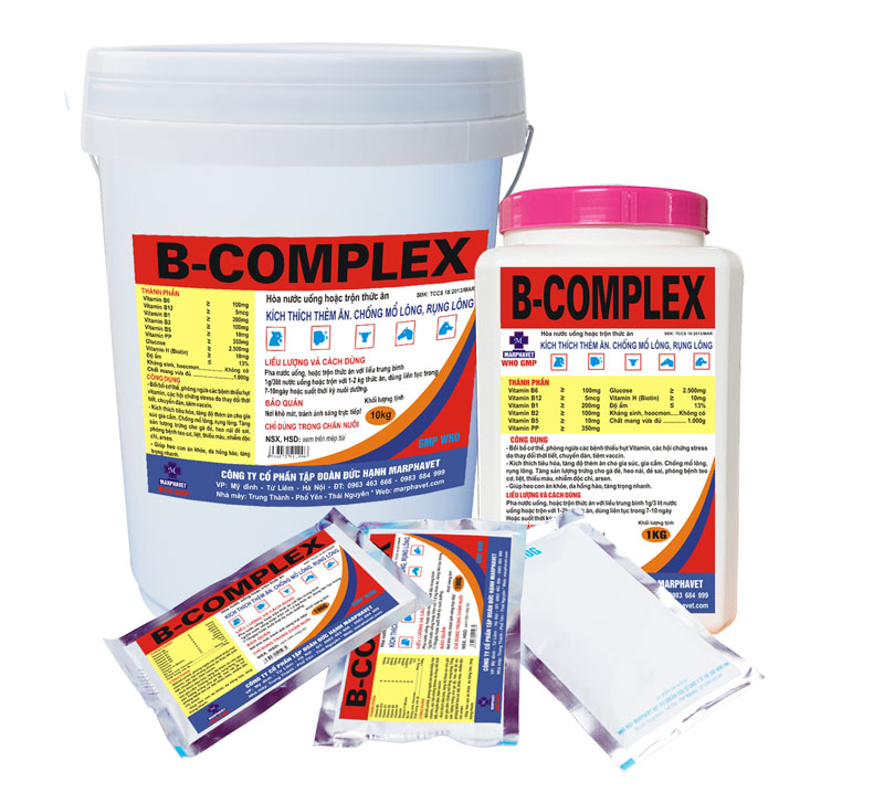 Bệnh đóng dấu lợn (Swine Erysipelas) - Tập đoàn Đức Hạnh Marphavet BMG - XEVIP.ICU