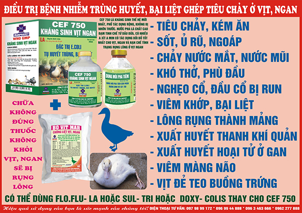 Điều trị bệnh nhiễm trùng huyết, bại liệt ghép tiêu chảy ở vịt, ngan (Phác đồ 1) - Tập đoàn Đức Hạnh Marphavet BMG - XEVIP.ICU
