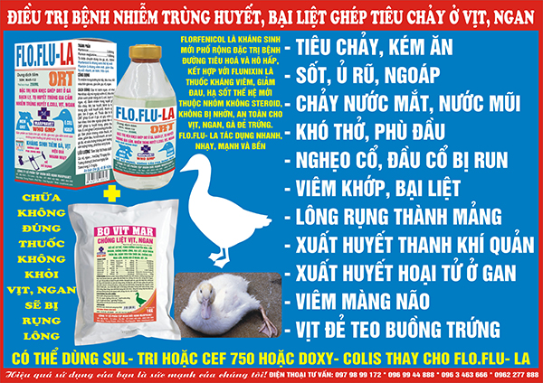 Điều trị bệnh nhiễm trùng huyết, bại liệt ghép tiêu chảy ở vịt, ngan (Phác đồ 2) - Tập đoàn Đức Hạnh Marphavet BMG - XEVIP.ICU