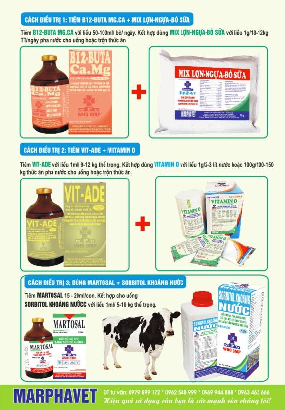 Bệnh bại liệt sau khi sinh ở bò sữa - Tập đoàn Đức Hạnh Marphavet BMG - XEVIP.ICU