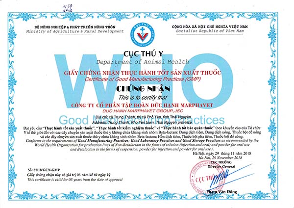 Tập đoàn Đức Hạnh Marphavet được Cục Thú Y – Bộ Nông Nghiệp & Phát triển nông thôn cấp giấy chứng nhận thực hành tốt sản xuất (GMP) - Tập đoàn Đức Hạnh Marphavet BMG - XEVIP.ICU