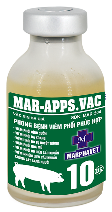 Bệnh viêm màng phổi ở lợn - Tập đoàn Đức Hạnh Marphavet BMG - XEVIP.ICU