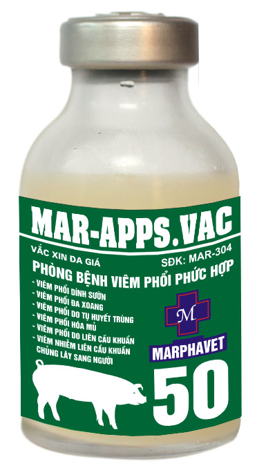 Bệnh đóng dấu lợn (Swine Erysipelas) - Tập đoàn Đức Hạnh Marphavet BMG - XEVIP.ICU