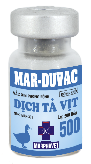 Bệnh dịch tả vịt ngan (Duck Pestis - DP) - Tập đoàn Đức Hạnh Marphavet BMG - XEVIP.ICU
