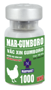 Bệnh Gumboro ở gà (Infectious Bursal Disease) - Tập đoàn Đức Hạnh Marphavet BMG - XEVIP.ICU