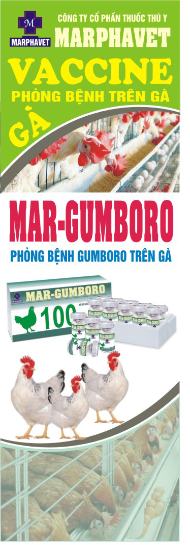 Kỹ thuật chăn nuôi gà giai đoạn đẻ - Tập đoàn Đức Hạnh Marphavet BMG - XEVIP.ICU