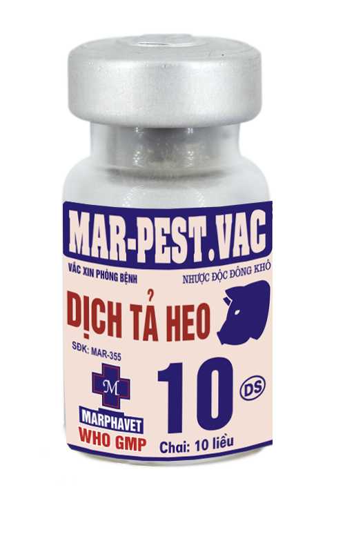 Bệnh dịch tả lợn (Classica swine Fever, Hog Cholera Suis) - Tập đoàn Đức Hạnh Marphavet BMG - XEVIP.ICU